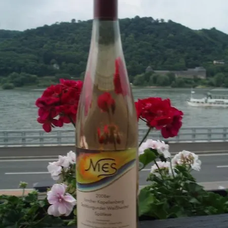 Weingut Theodor Nies Apartment Lorch am Rhein Exterior photo