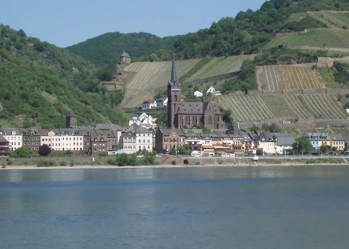 Weingut Theodor Nies